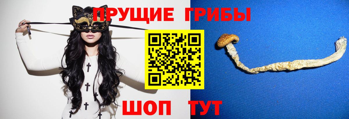 Галлюциногенные грибы Magic Shrooms Дальнереченск